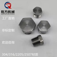 雙相鋼2205 /2507材質六角管帽 堵頭 不銹鋼塞頭