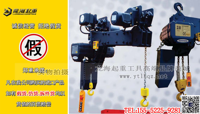 雙鉤環鏈電動葫蘆小圖1