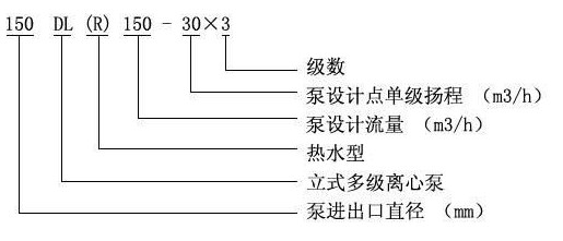 圖片31
